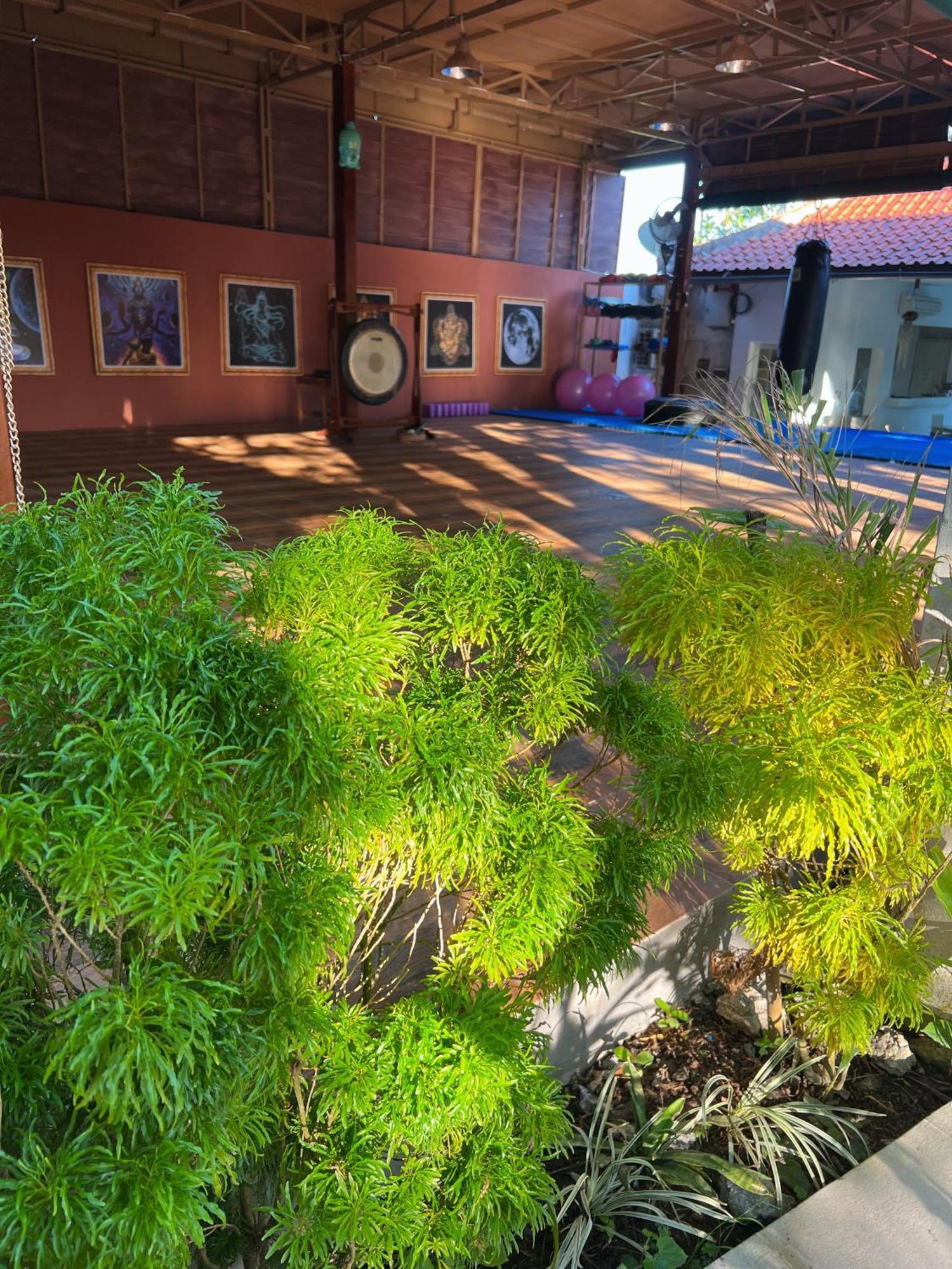 Villa Neshama チャングー エクステリア 写真